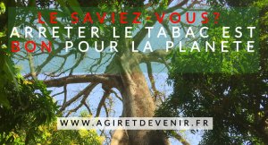 Arrêter le tabac est bon pour la planete