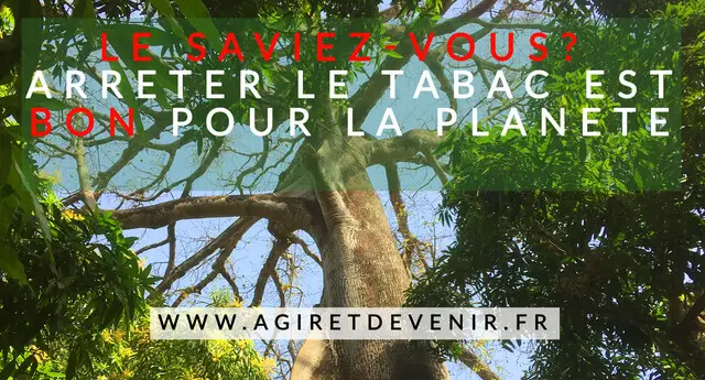 Arrêter le tabac est bon pour la planete