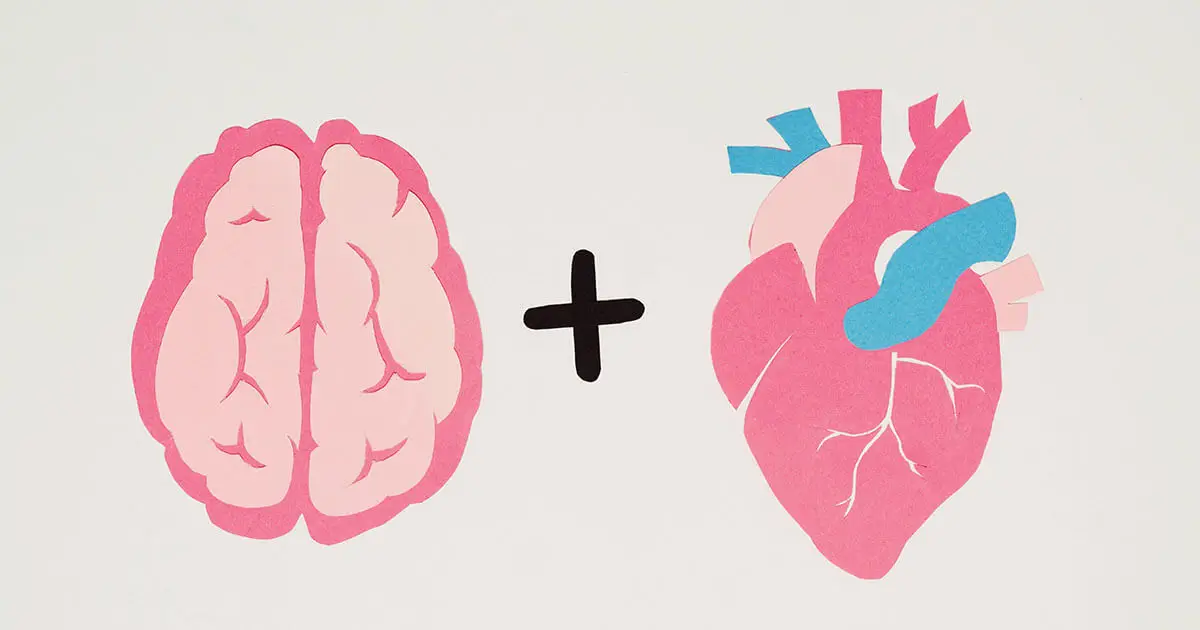cerveau et cœur émotion