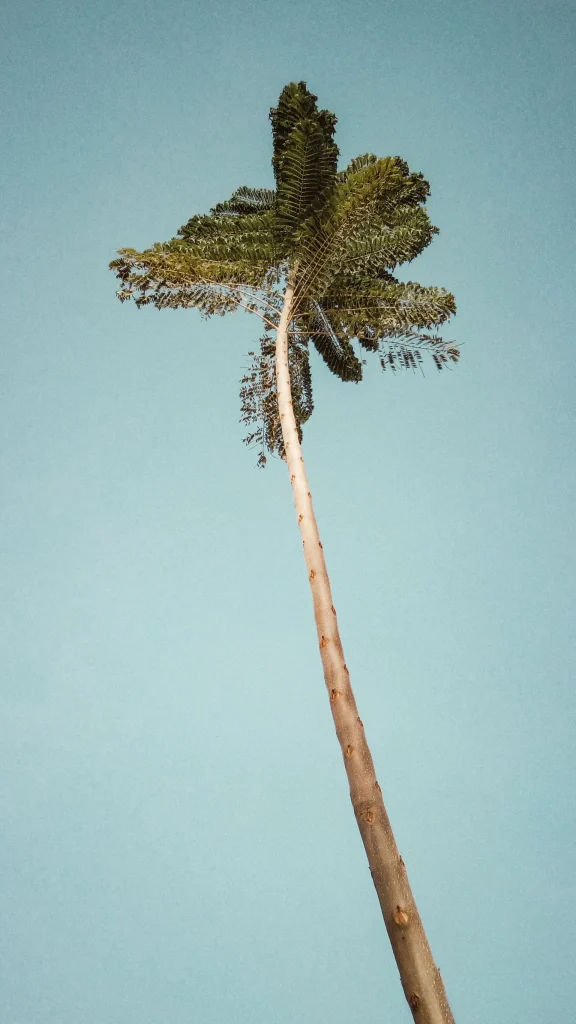 questions sur la crise suicidaire
