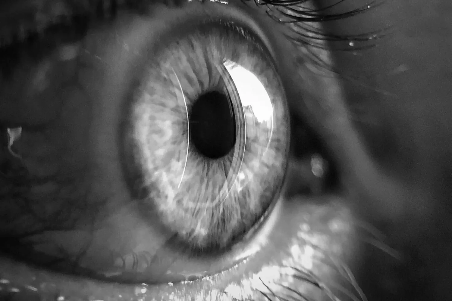 EMDR RITMO Traumatismes TSPT